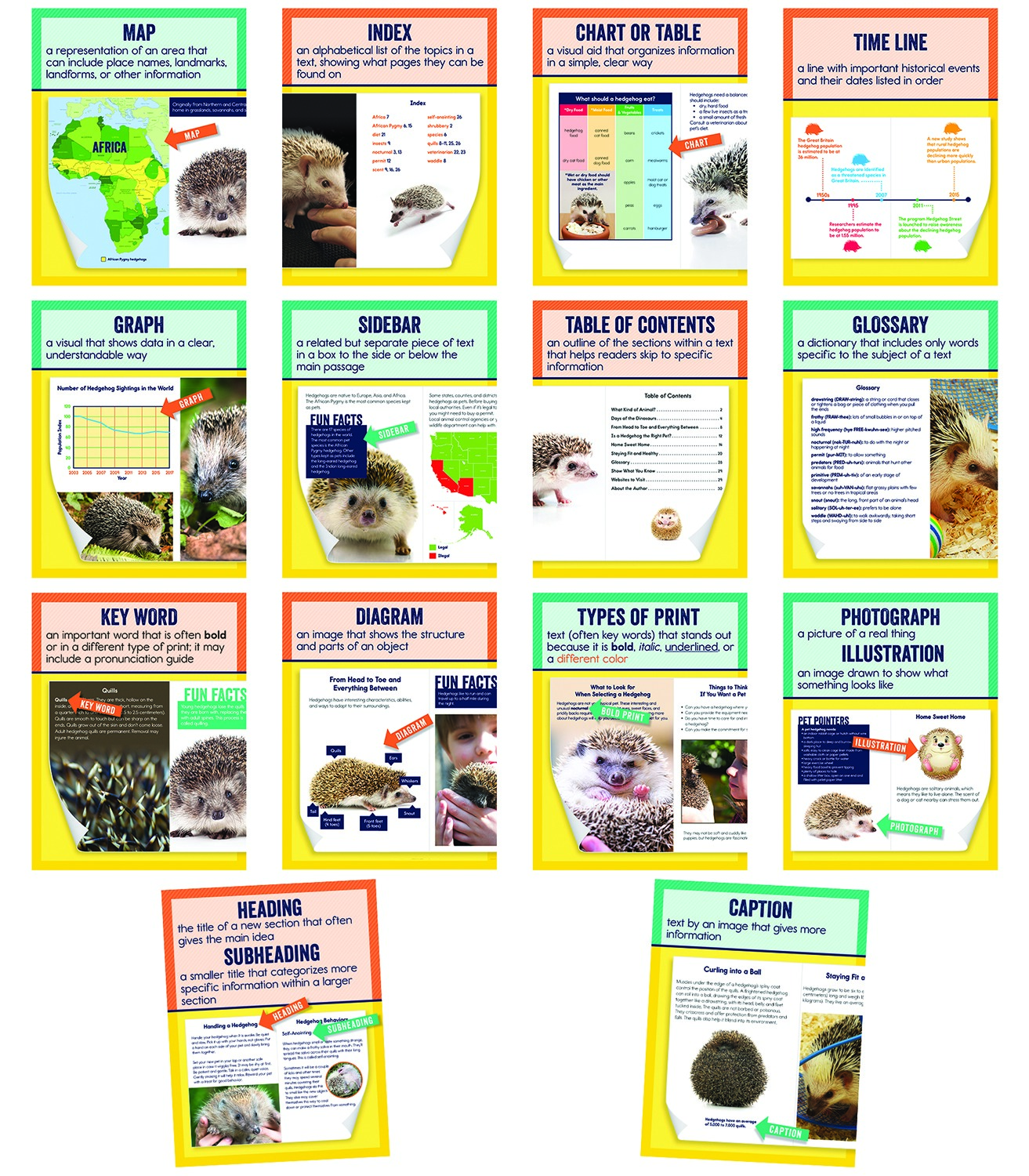Classroom Decorations and Resources