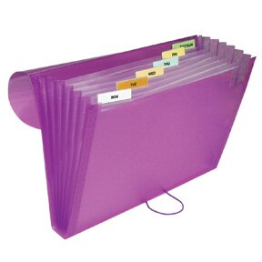 C-Line® Poly Expanding File