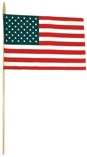 American Hand Flags