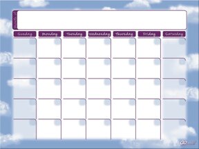 GoWrite!® Dry Erase Monthly Calendars