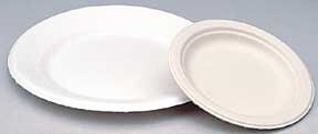 Chinet Paper Plates