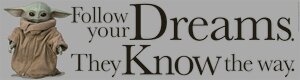Follow Your Dreams, They Know The Way Horizontal Classroom Banner