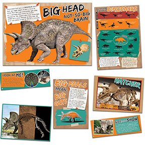 Amazing Dinosaurs Bulletin Board Set