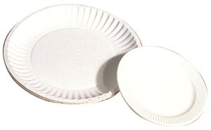 White Paper Plates