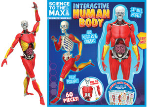 Interactive Human Body