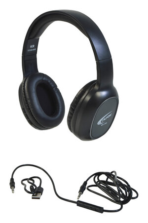 BH-202 Wireless Bluetooth Headset