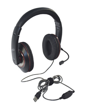 Deluxe 2021 Stereo Headsets with Microphones